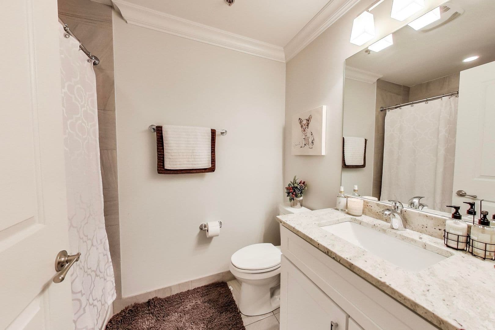 Chicago Apartment: 1239-1259 W Madison St.