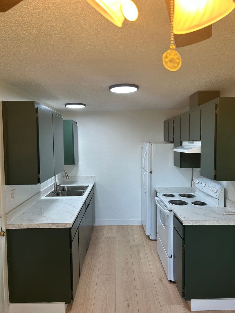 Eugene Multiplex: 391/393 Anton Ct