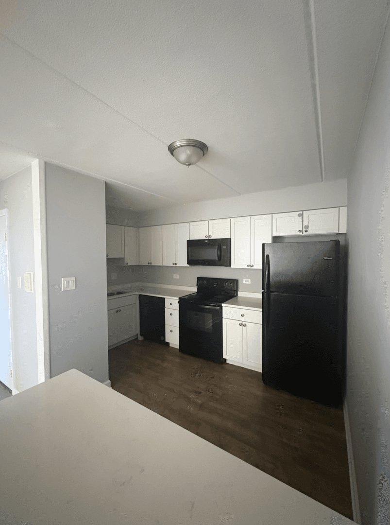 Elmhurst Apartment: 484 N Addison Ave Unit 101E