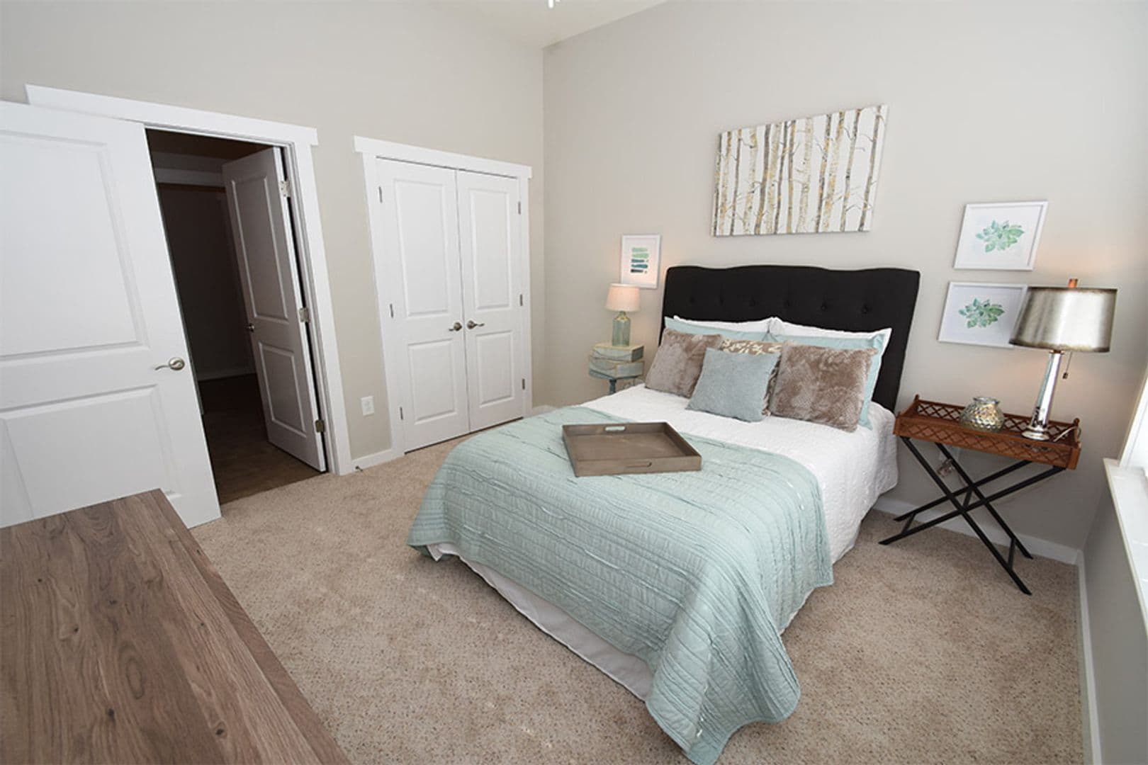 Greenville Apartment: 3400 Briarcliff Drive