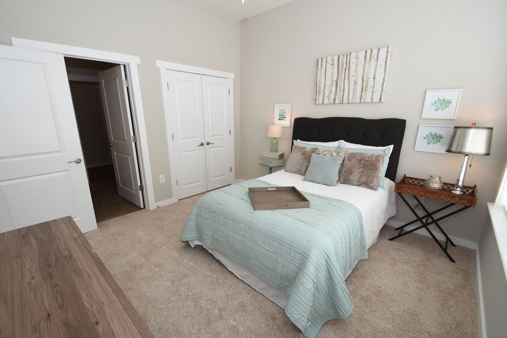 Greenville Apartment: 3400 Briarcliff Drive