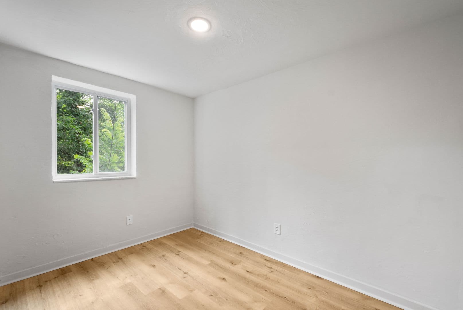 Pittsburgh Apartment: 129 Fountain St - Apartment A