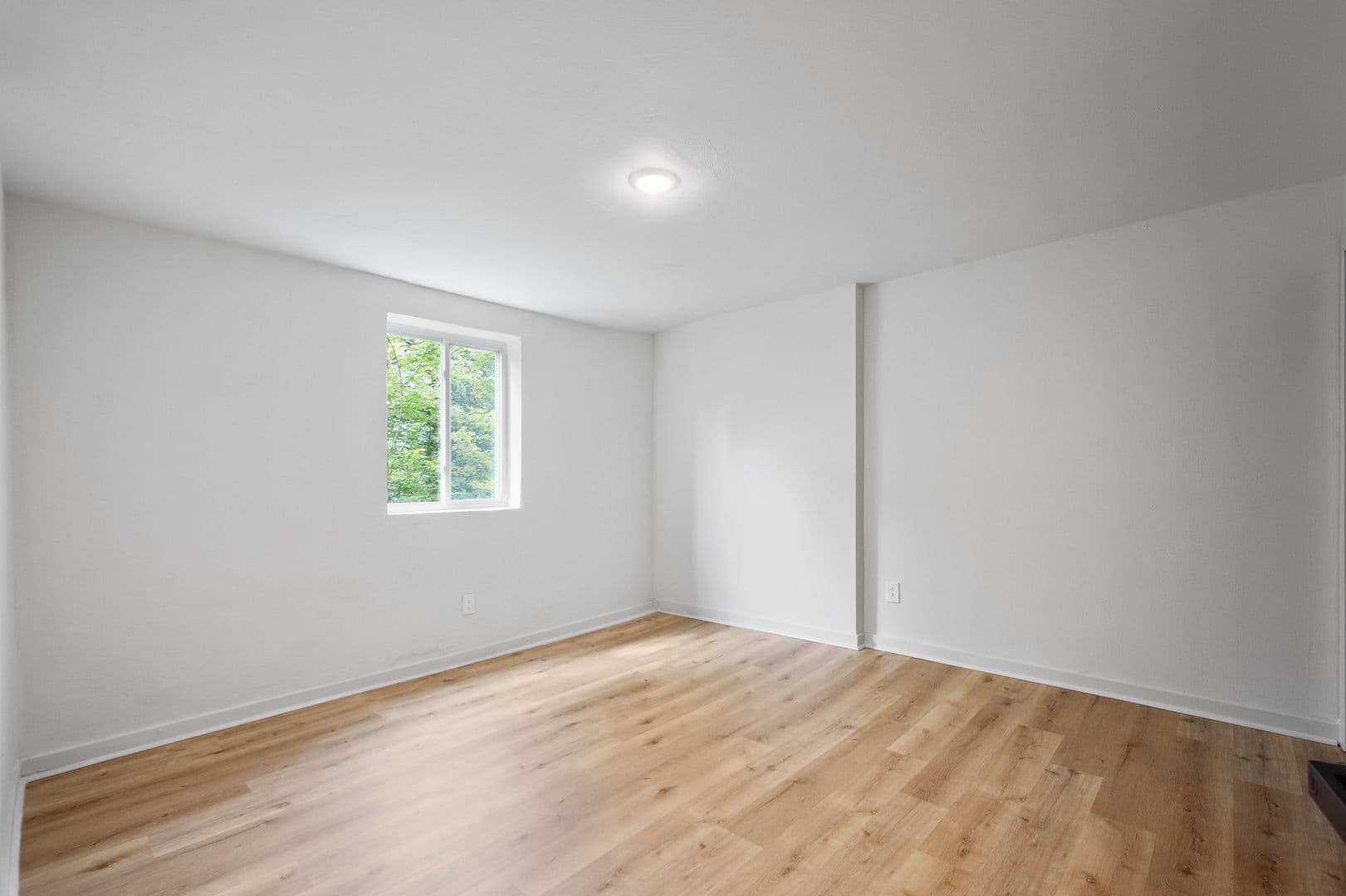 Pittsburgh Apartment: 129 Fountain St - Apartment A