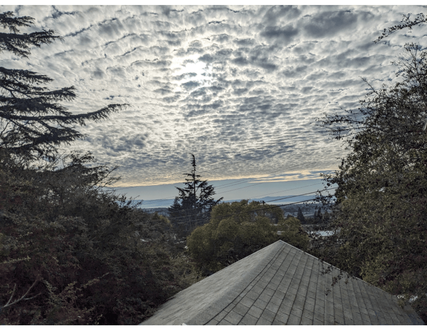 Castro Valley House: 17250 Robey Dr.