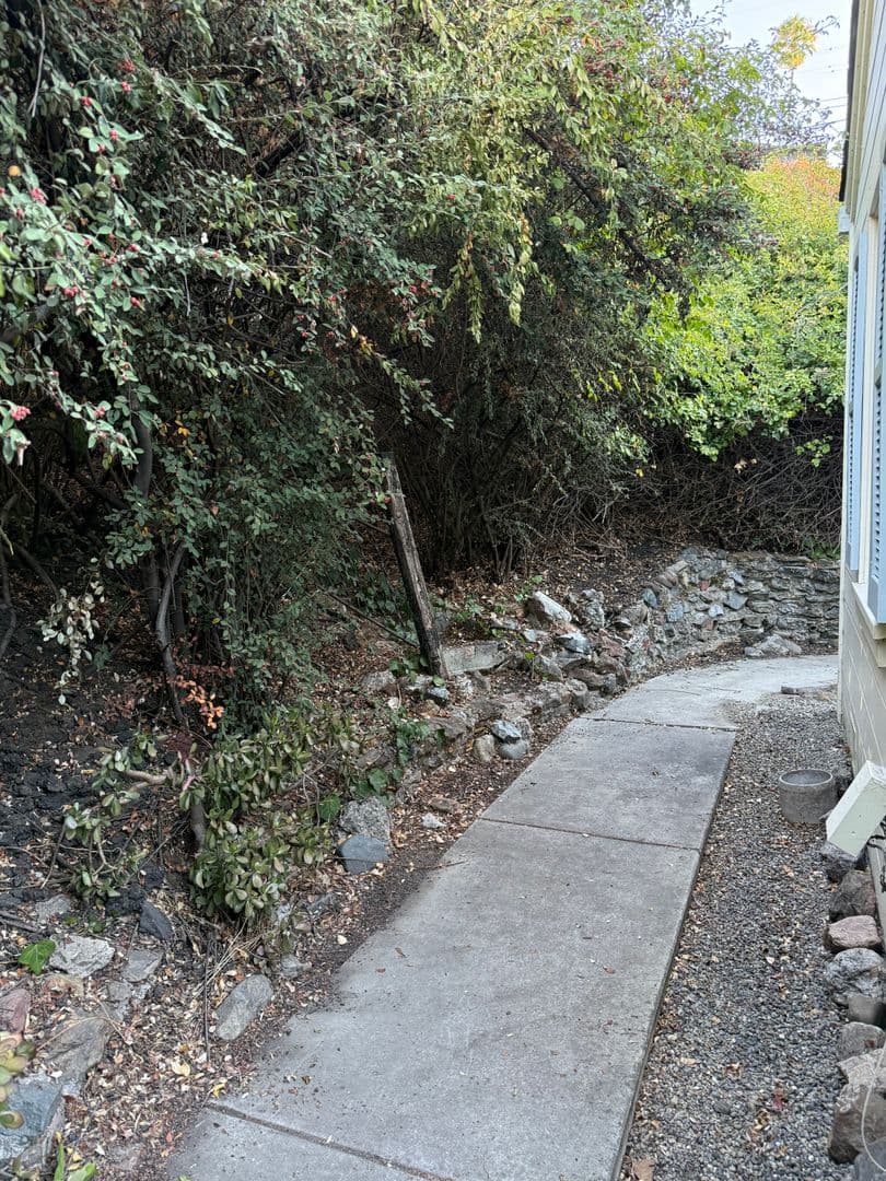 Castro Valley House: 17250 Robey Dr.