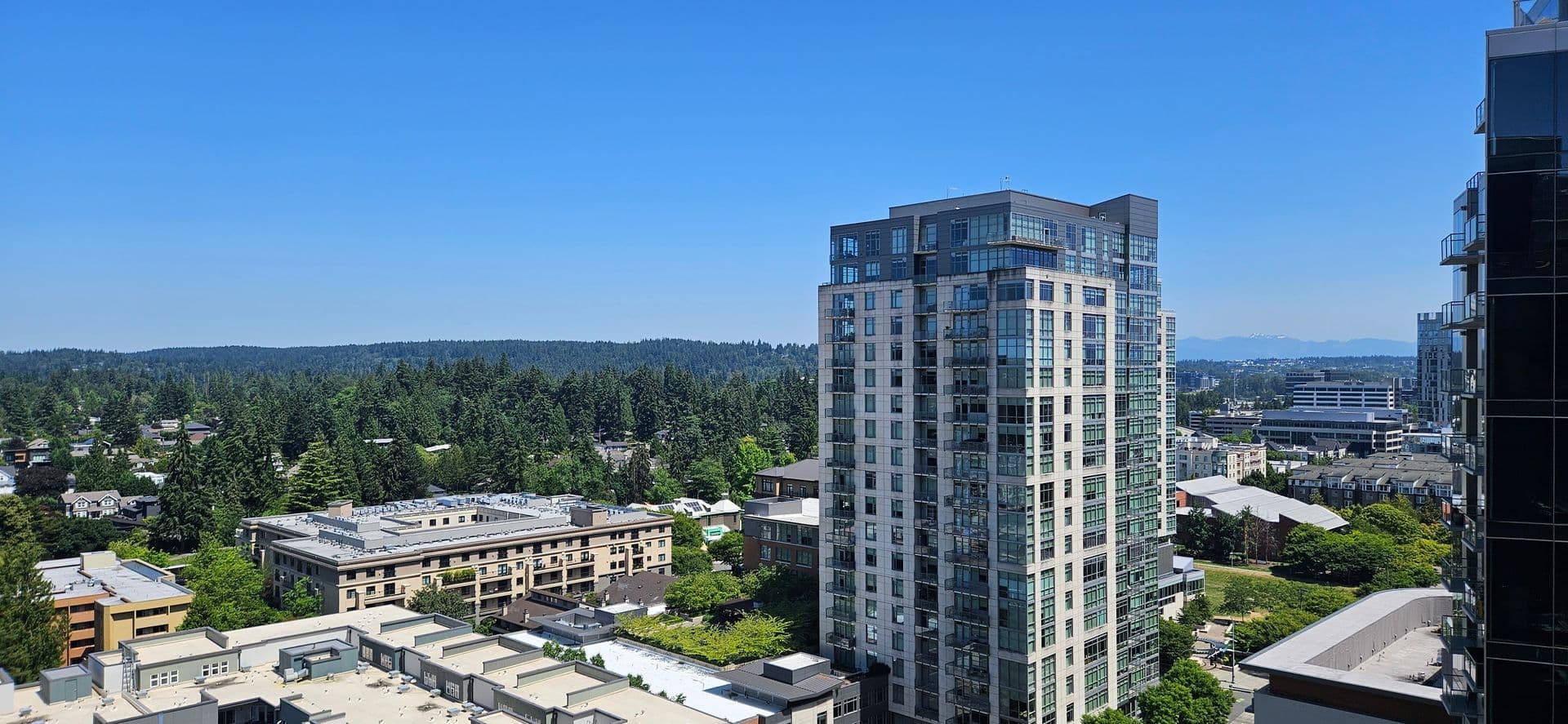 Bellevue Condo: 10610 Northeast 9th Place