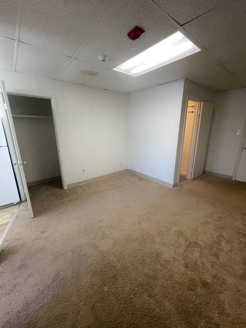 Golden Apartment: 1220 Washington Avenue  - #10