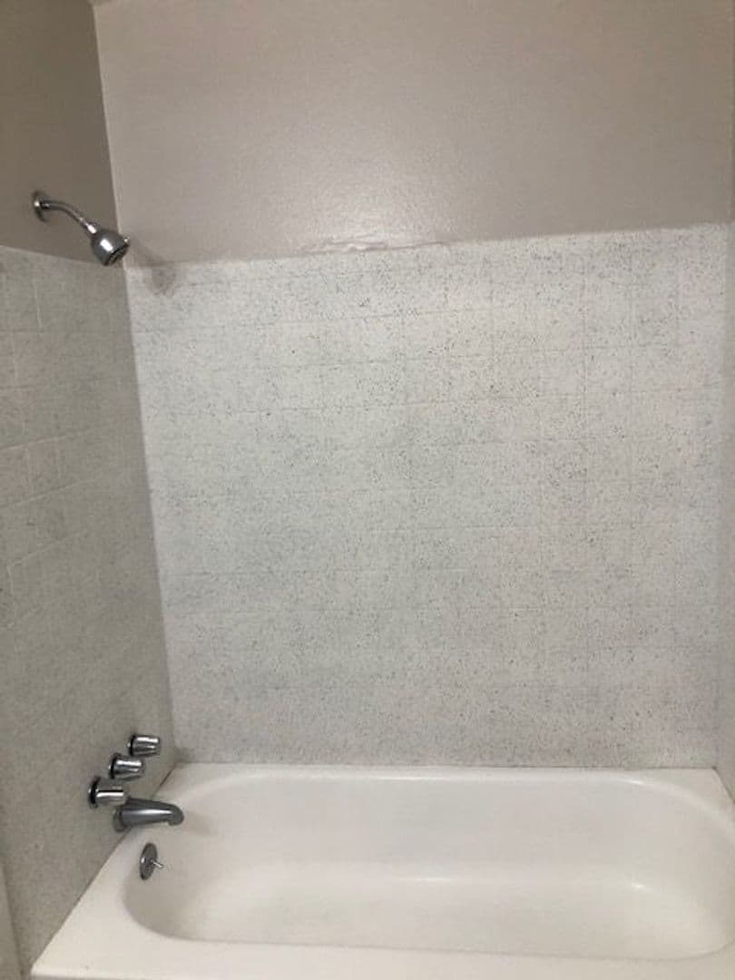 Aurora Apartment: 1588 Macon St #203