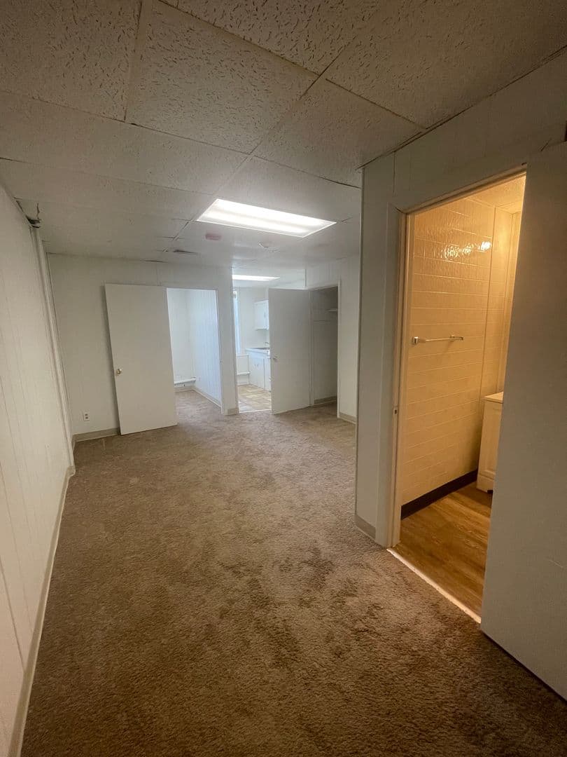 Golden Apartment: 1220 Washington Avenue  - #10
