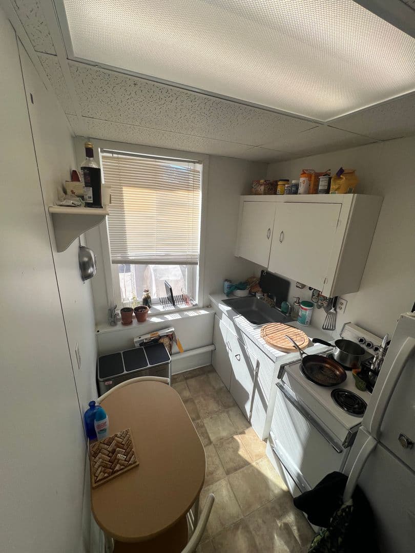 Golden Apartment: 1220 Washington Avenue  - #9