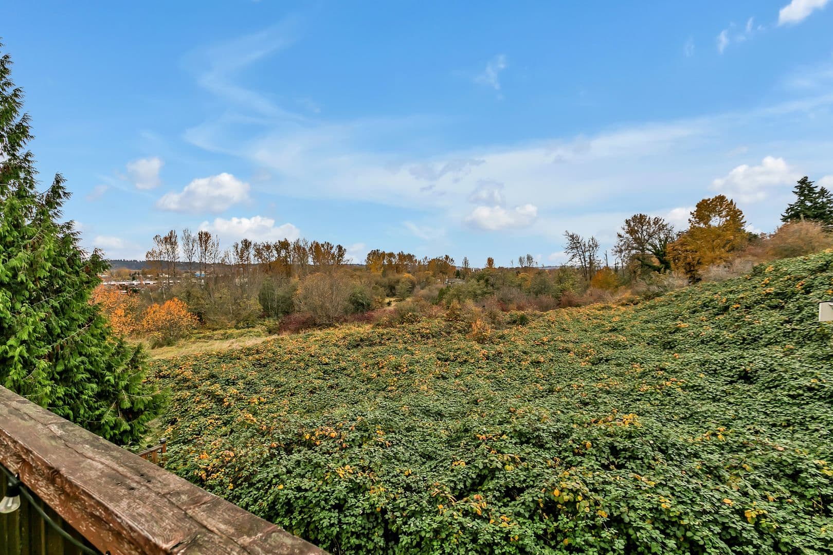 Kent House: 729 Prospect Ave N