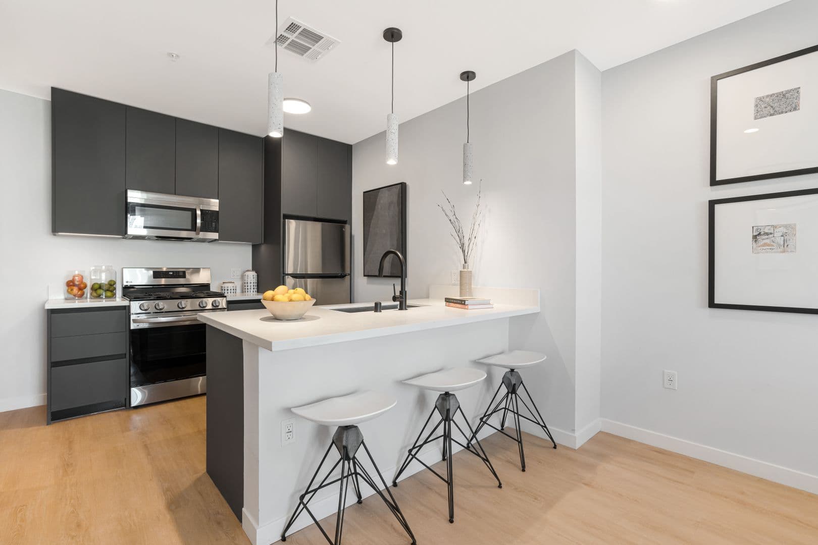 Los Angeles Apartment: 905 South Vermont Avenue