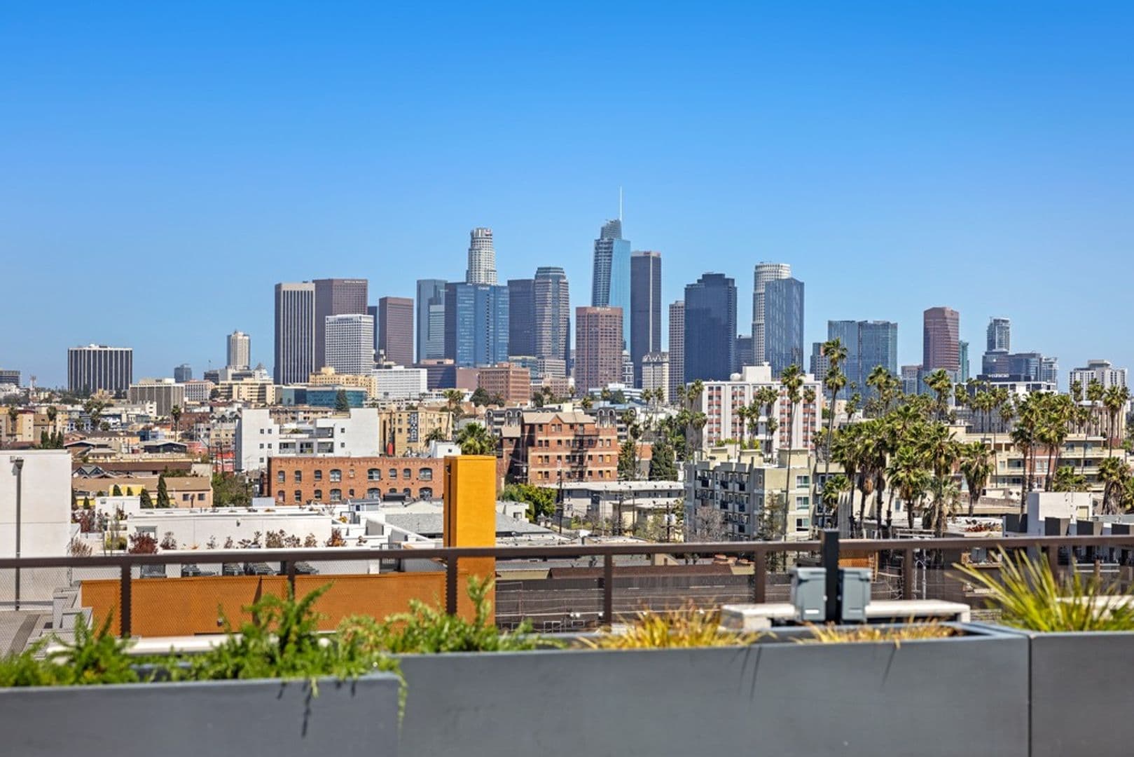 Los Angeles Apartment: 905 South Vermont Avenue
