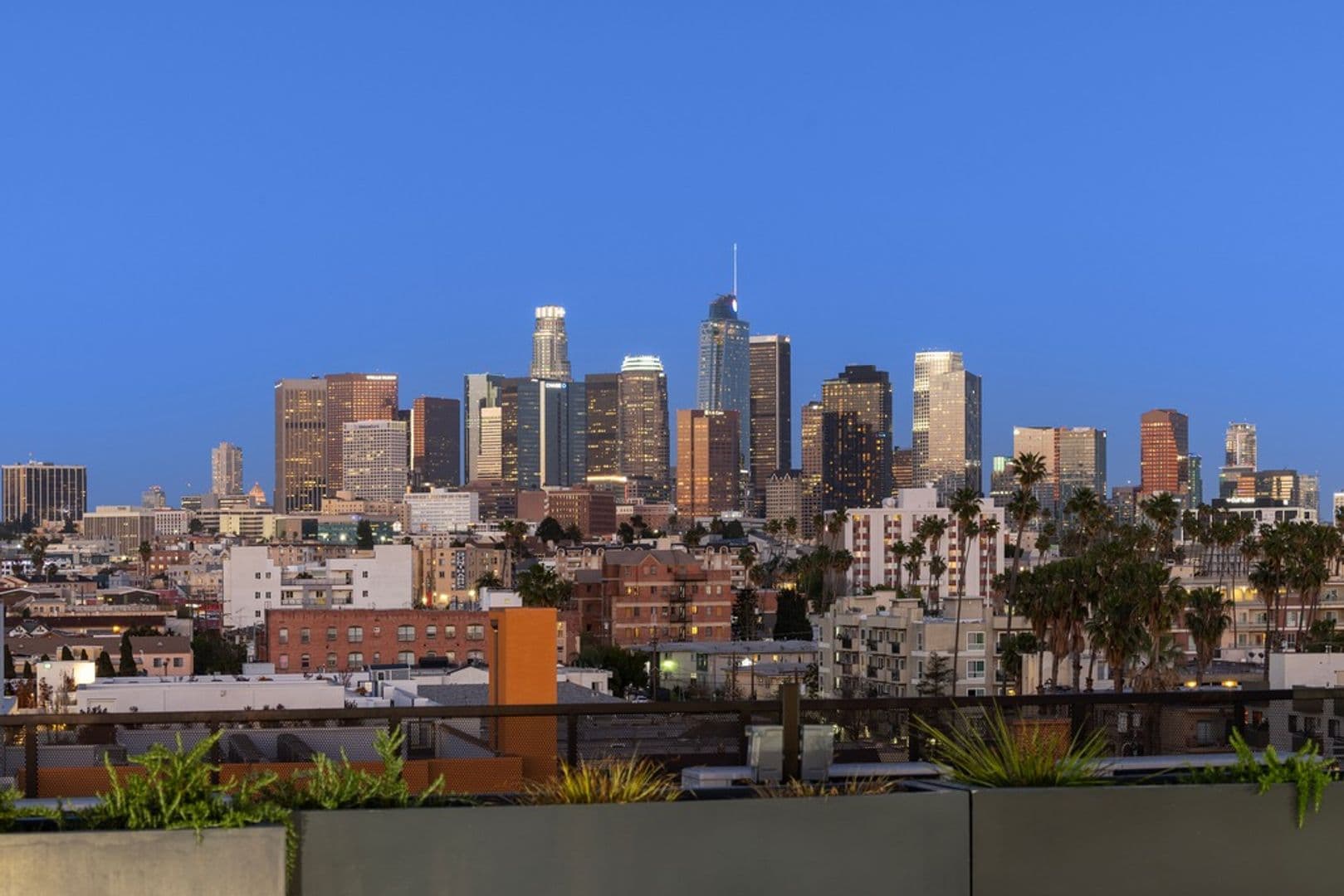Los Angeles Apartment: 905 South Vermont Avenue