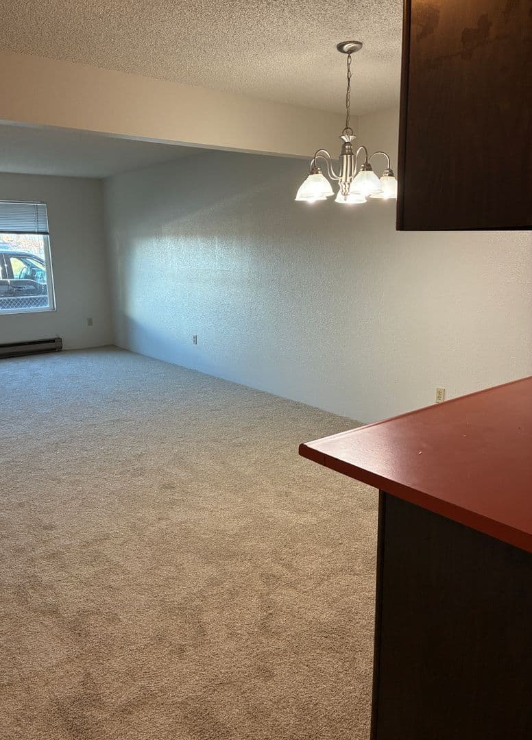Anchorage Apartment: 1315 Cordova St