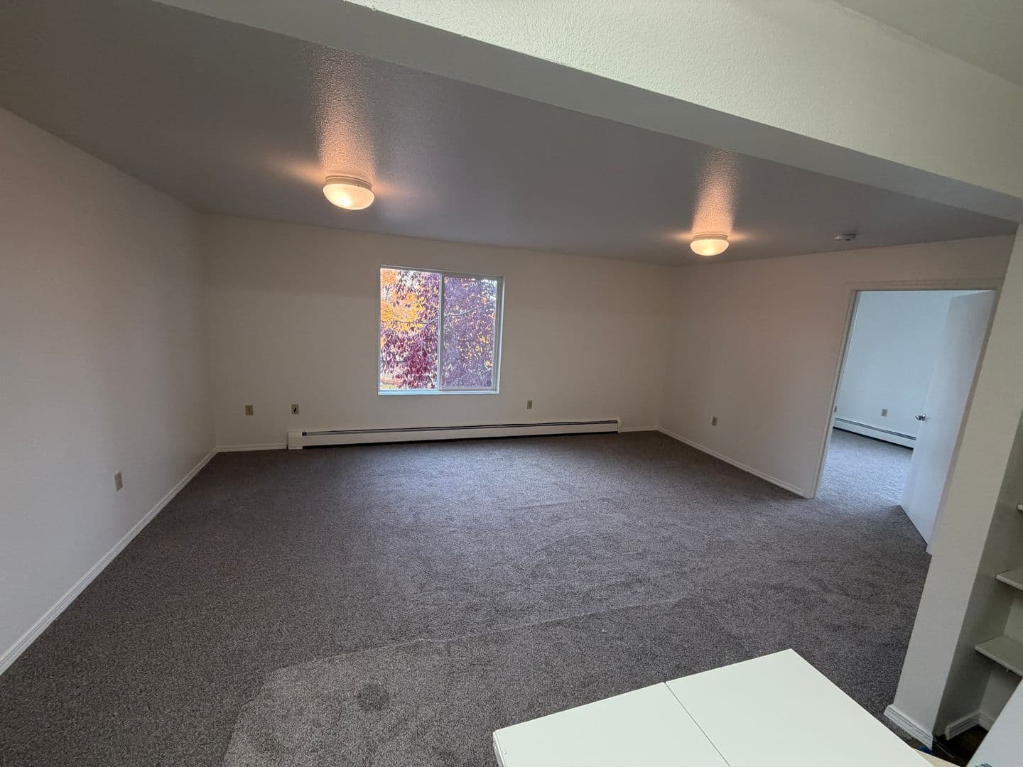 Anchorage Apartment: 315 Barrow St
