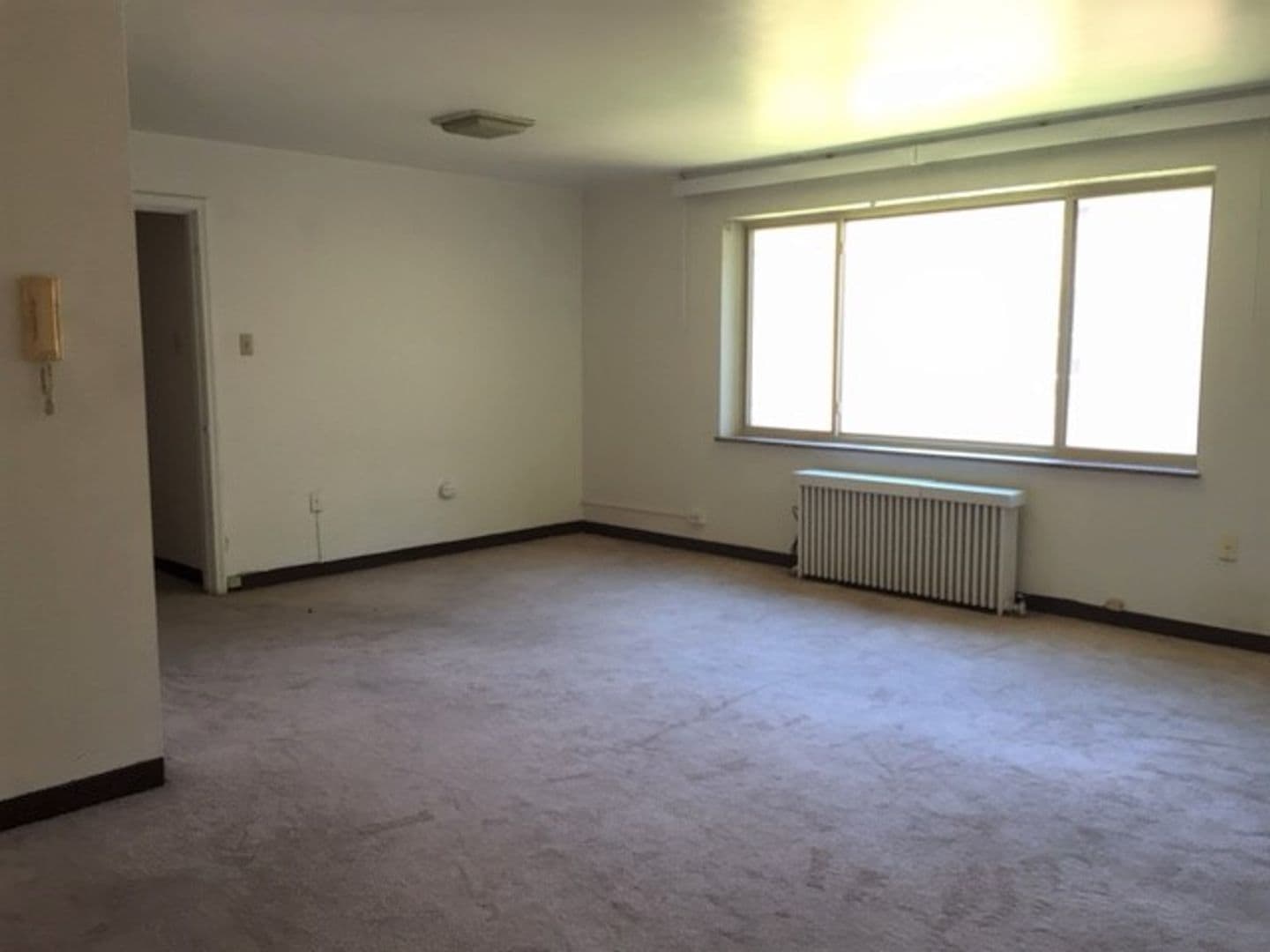 Pittsburgh Apartment: 5600 Fifth Avenue