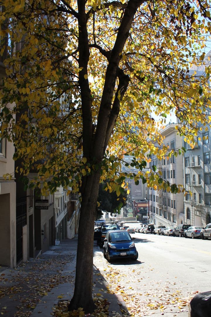 San Francisco Apartment: 540 Stockton St