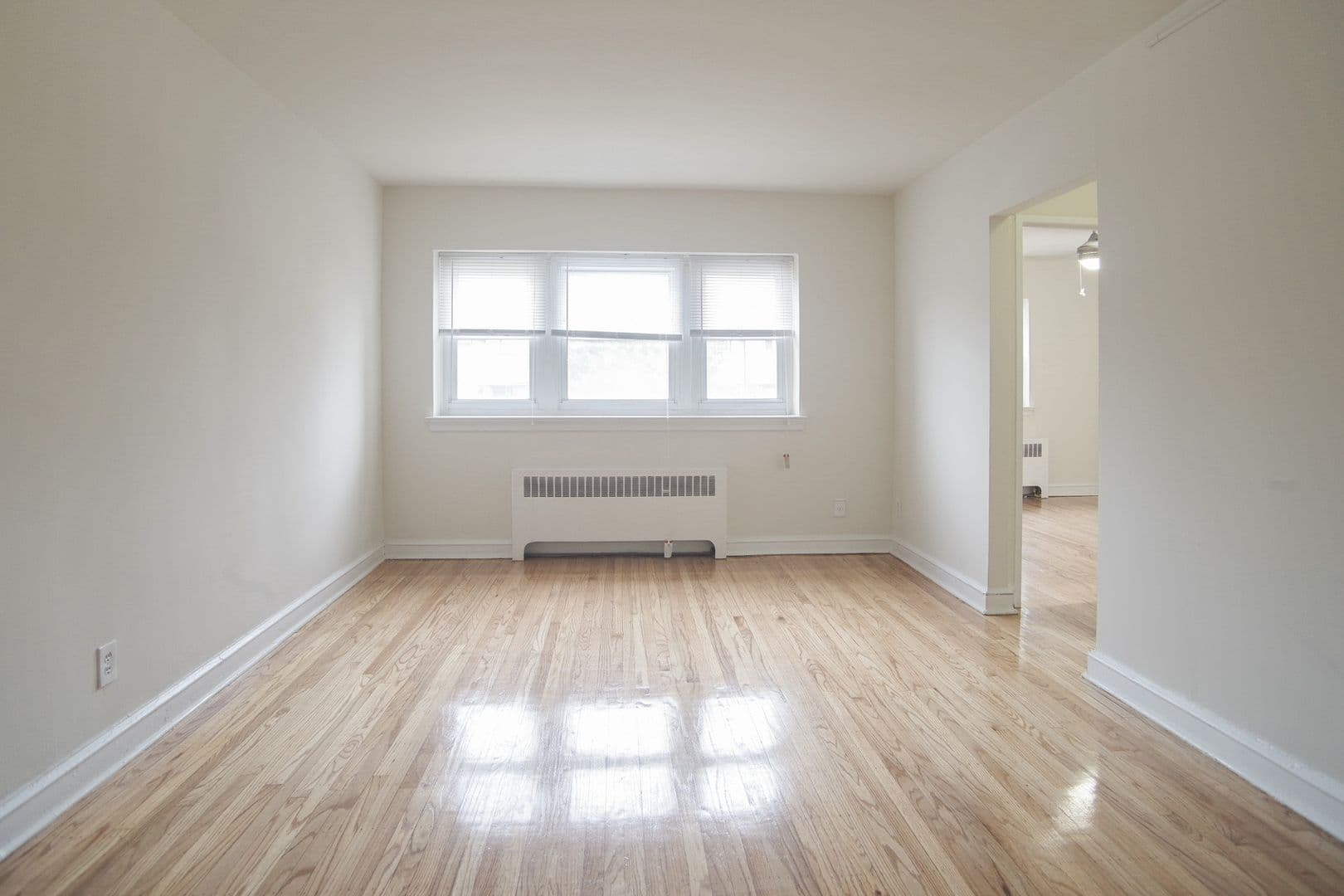 Philadelphia Apartment: 353-357 West Mt. Airy Avenue