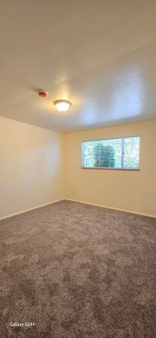 Seattle Apartment: 7542 15th Ave. NW