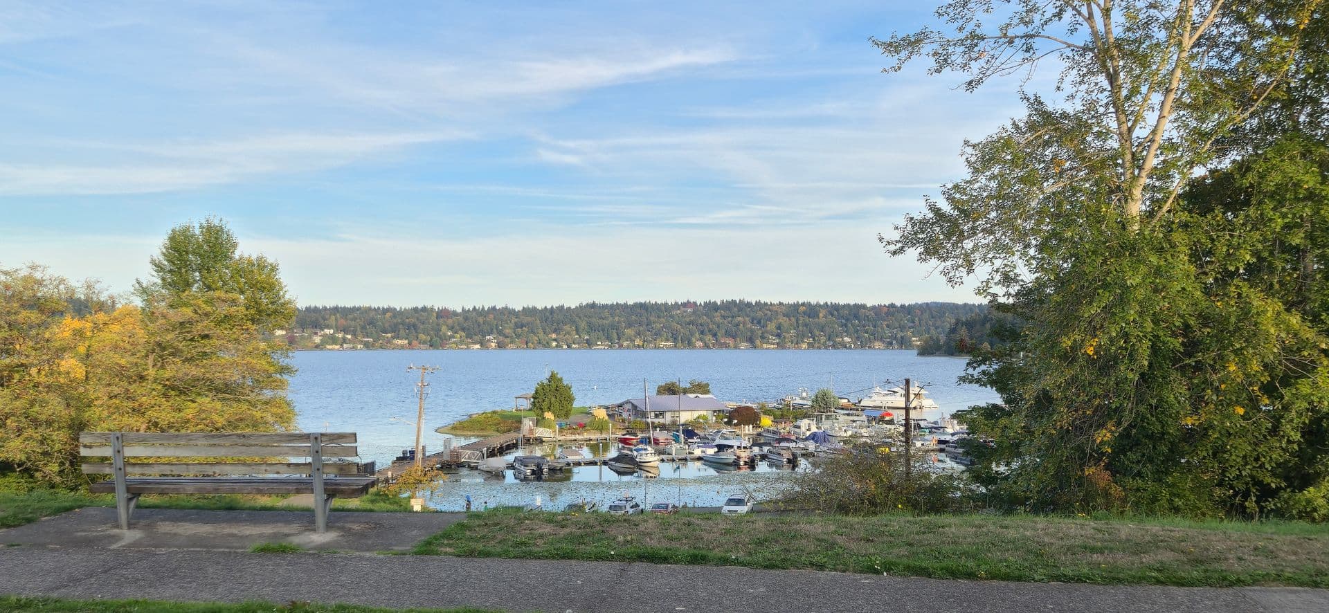 Seattle Apartment: 4427 51st Ave. S.