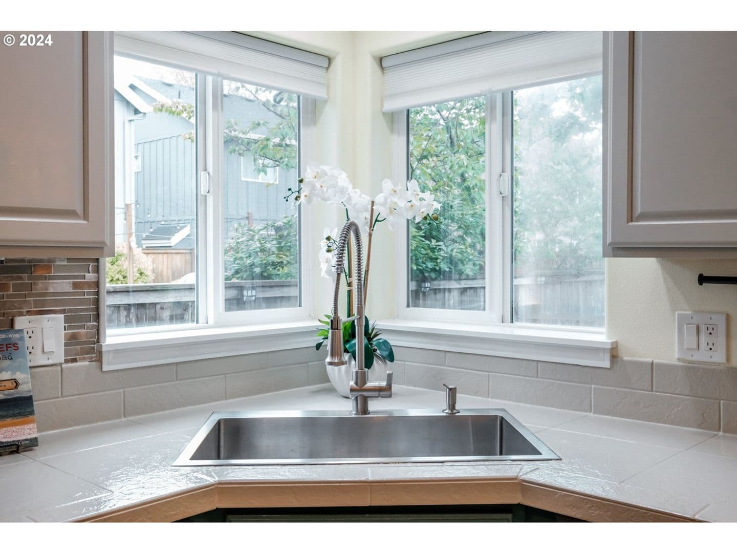 Albany House: 209 Derby Street SE