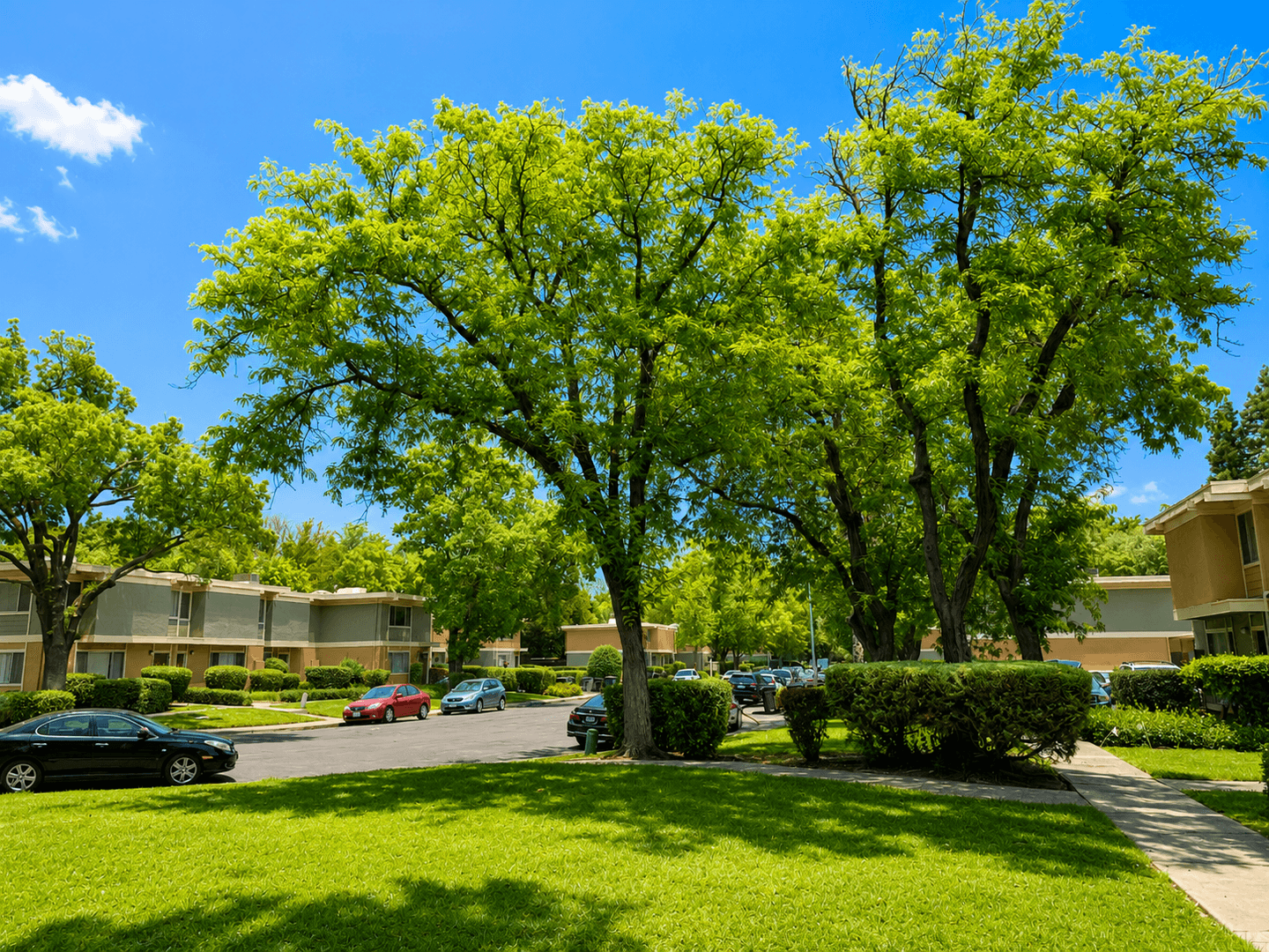 Davis House: 1536 Drake Drive