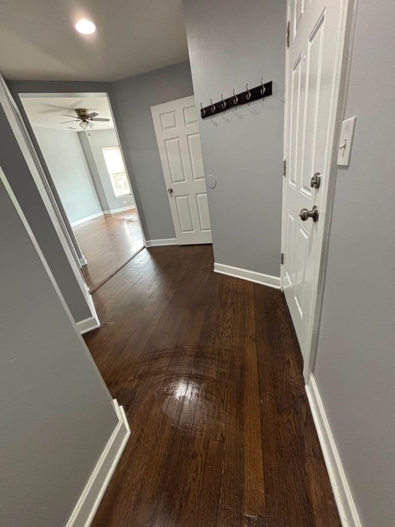 Chicago Apartment: 702-704 E 50th Pl