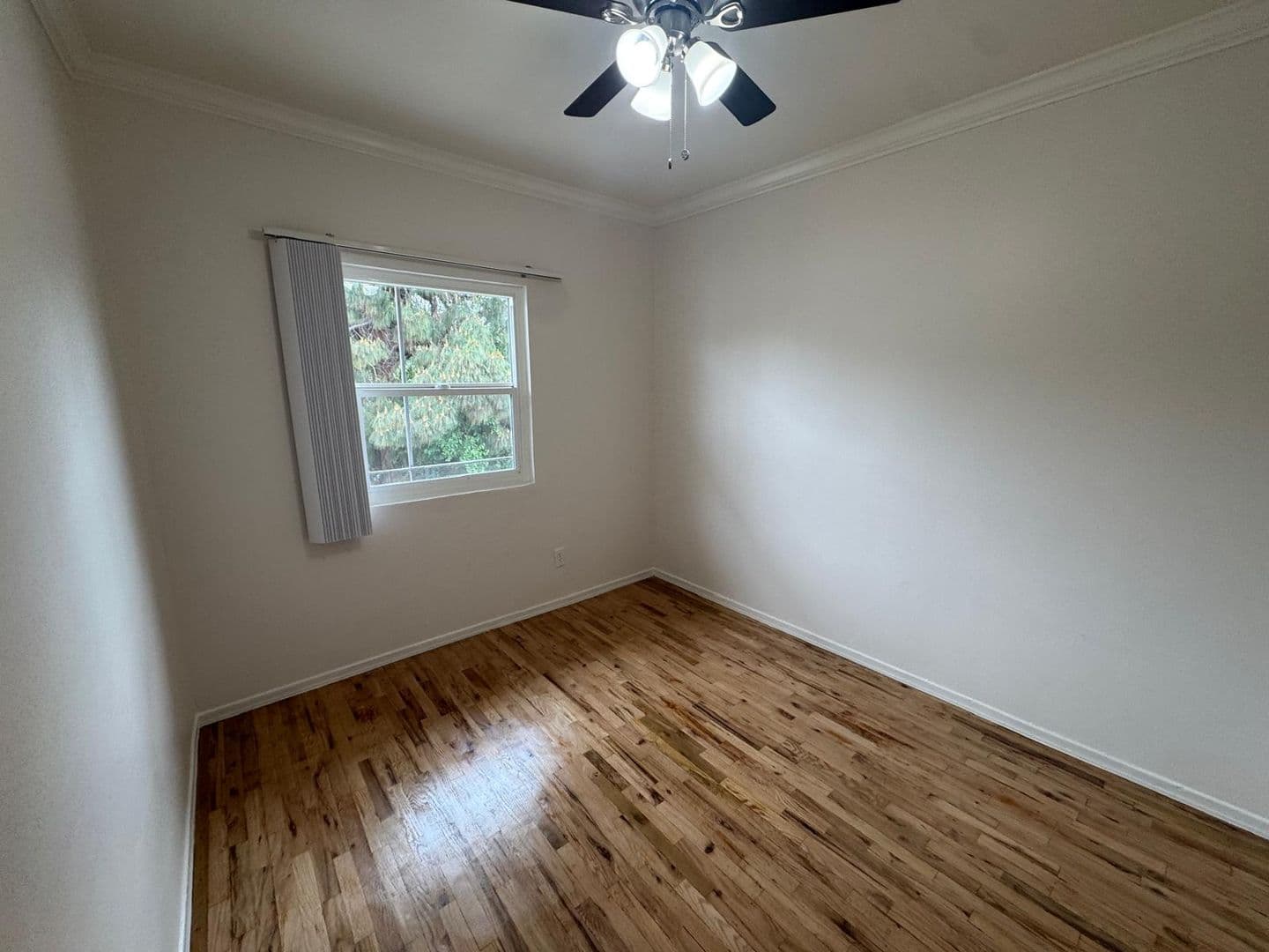 Los Angeles Apartment: 3025 Perlita Ave.
