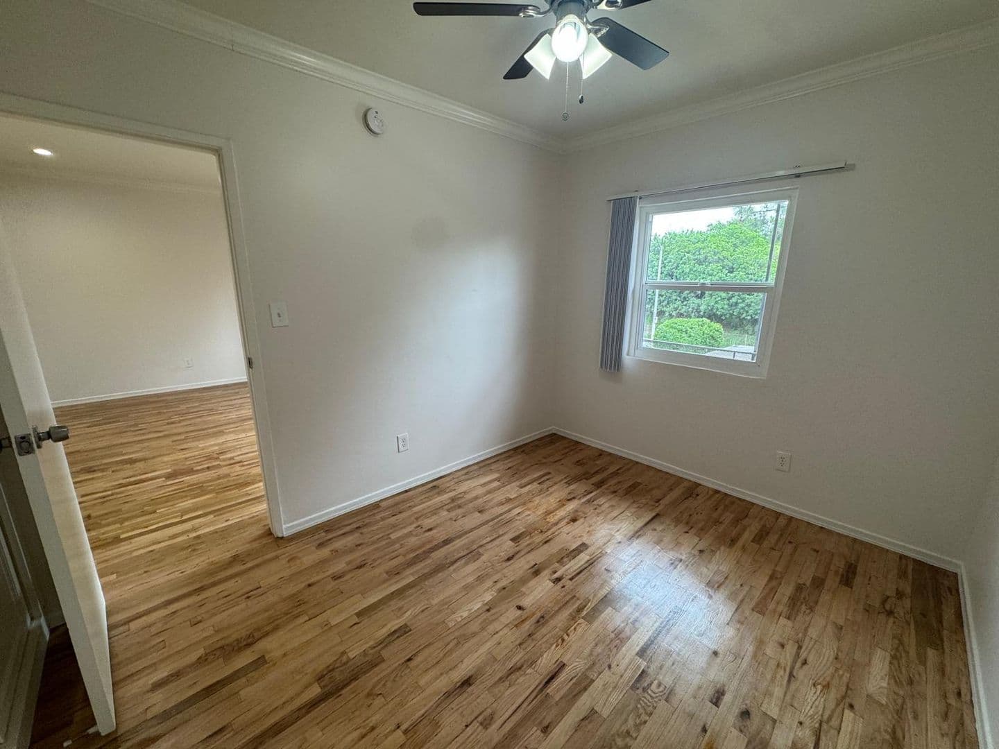 Los Angeles Apartment: 3025 Perlita Ave.