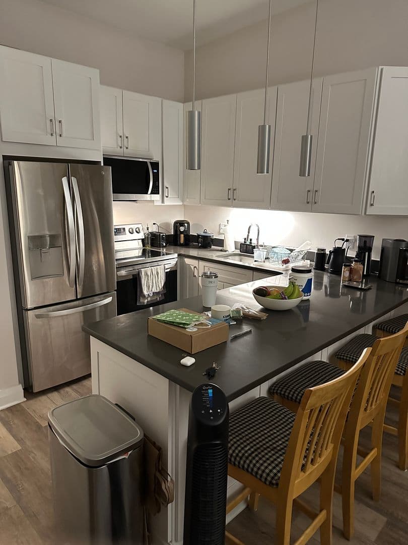 Philadelphia Apartment: 237 Chestnut Street - 1-517