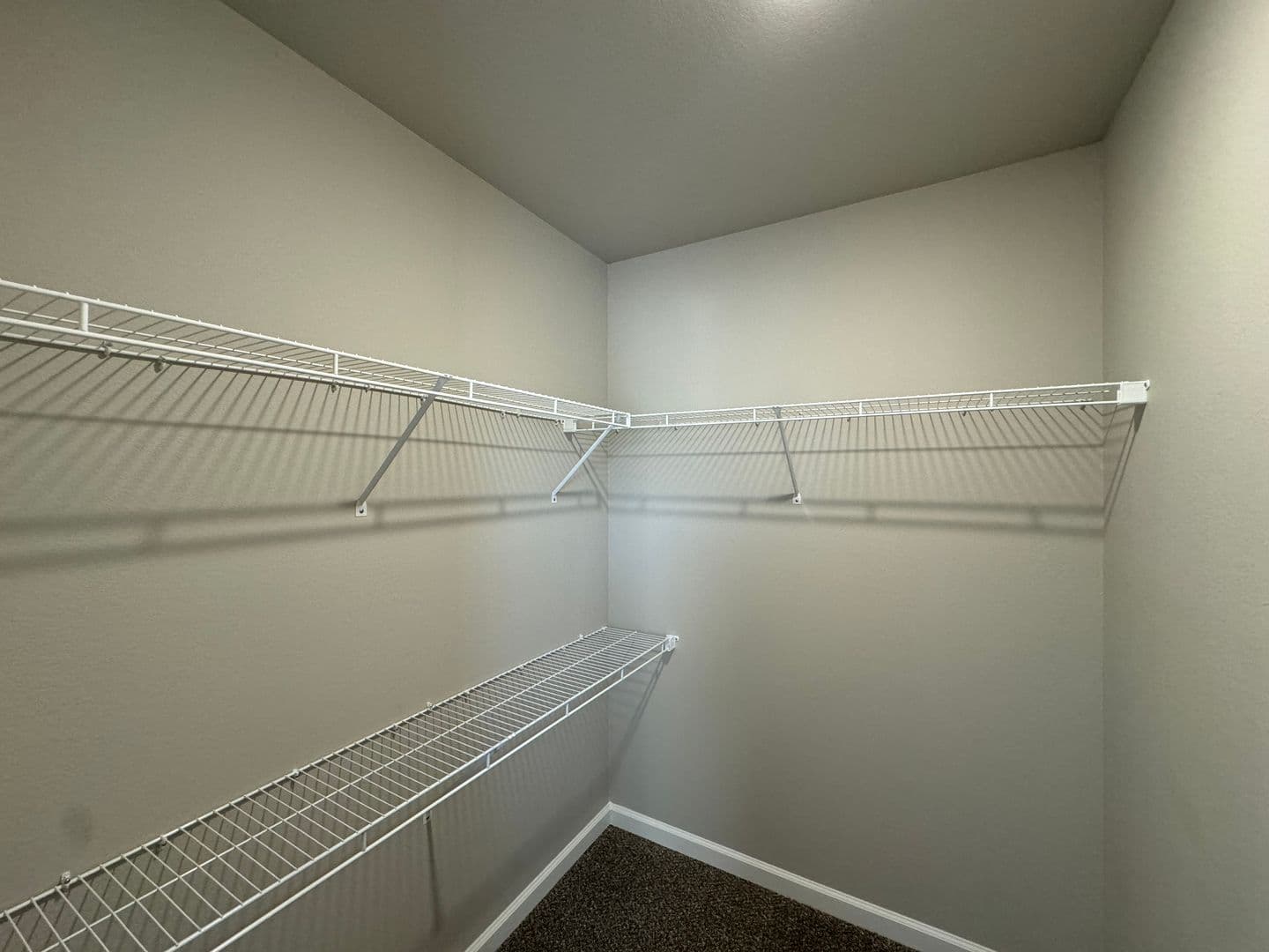 Warrenton Apartment: 16901 Cattail Bottoms Drive