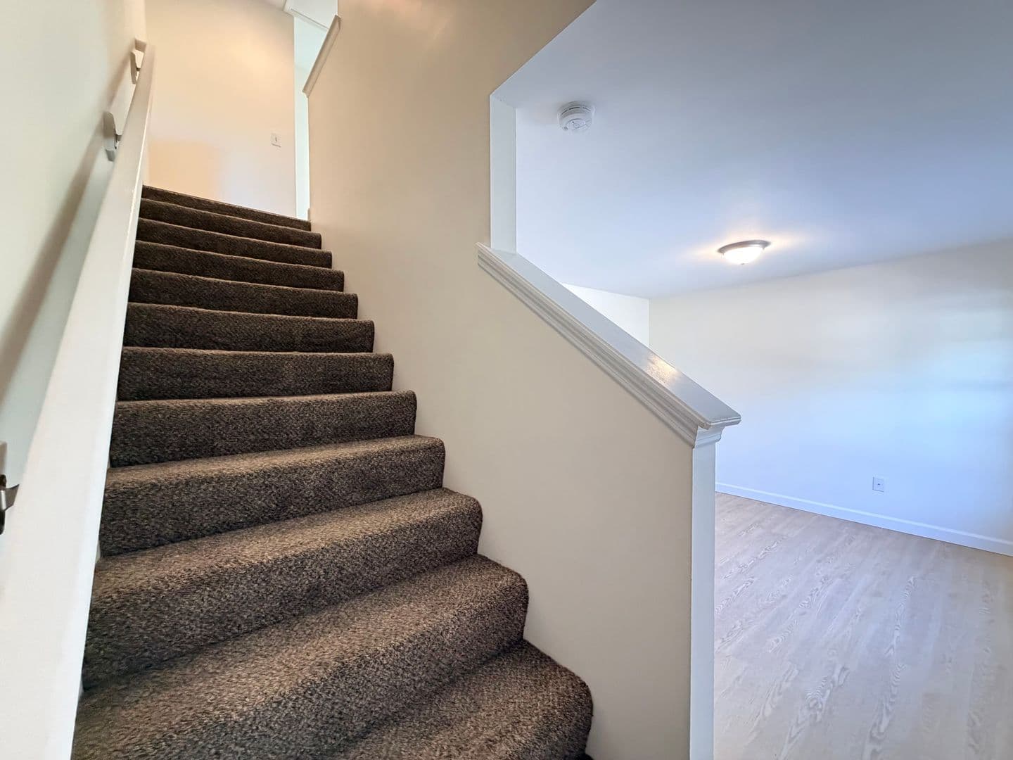Wentzville Apartment: 700 Scotti Lane