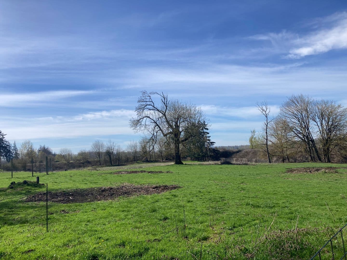 Eugene House: 4100 Gilham Rd