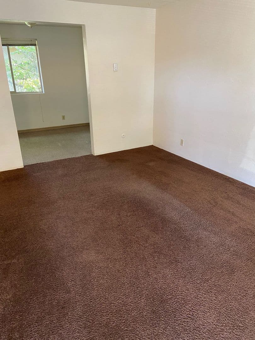 Springfield Apartment: 711/733 Mill Street