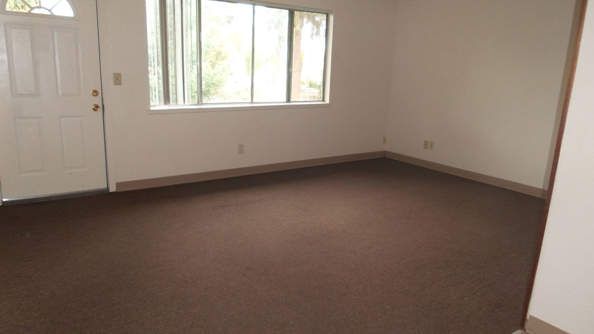 Springfield Apartment: 125 D Street