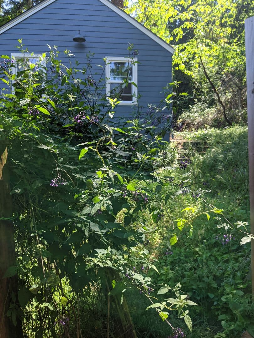 Eugene Apartment: 1698 Riverview St