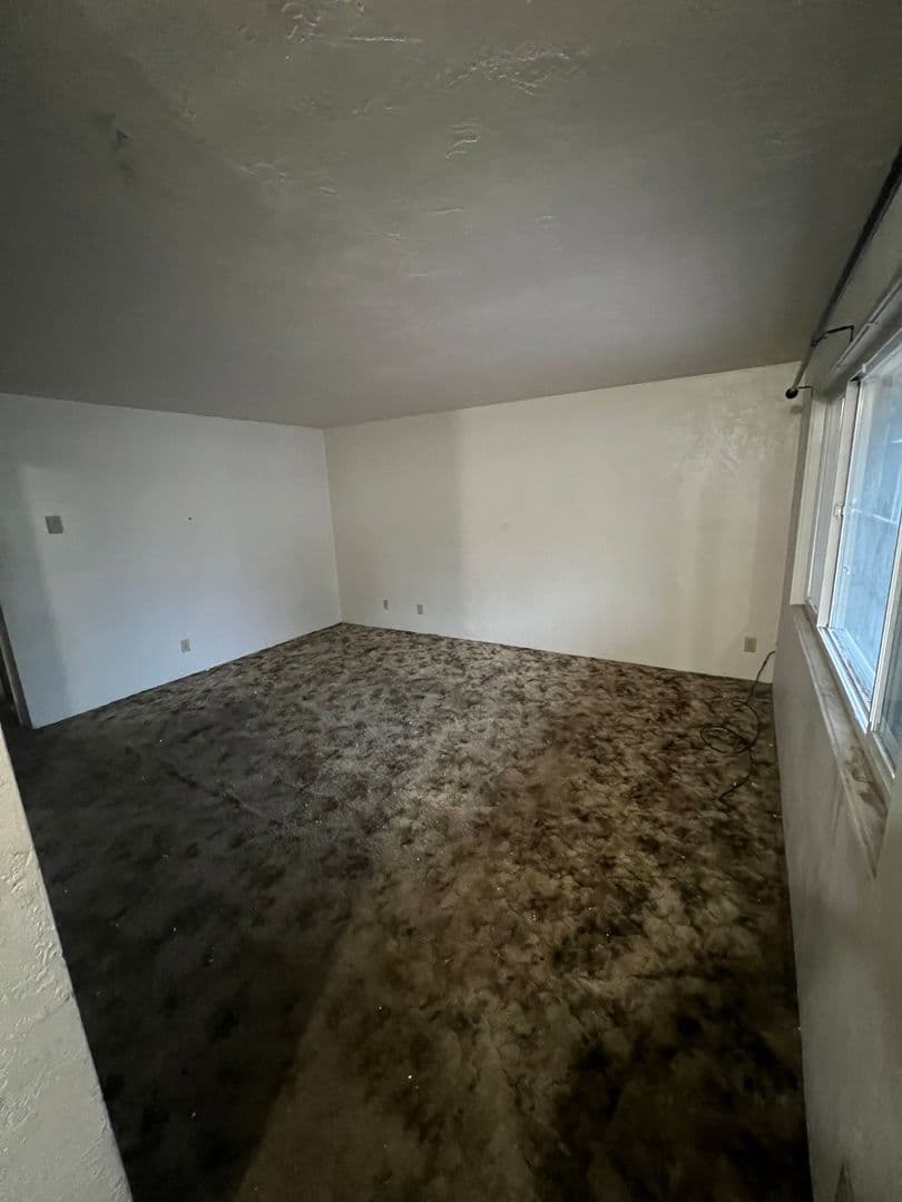 Springfield Apartment: 1973 18th Street