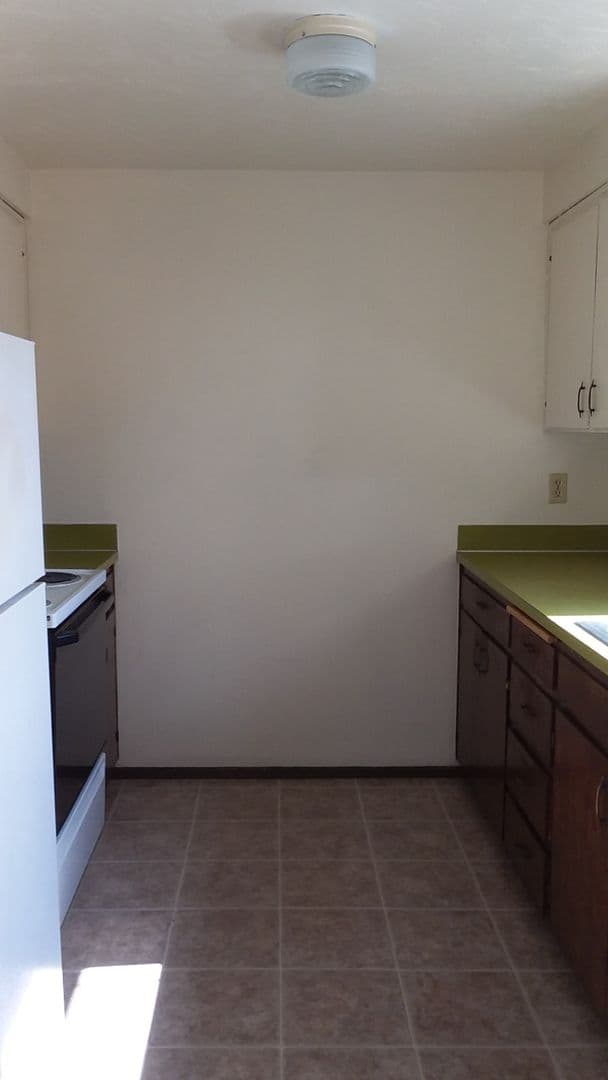 Springfield Apartment: 461 & 463 S. 49th Place