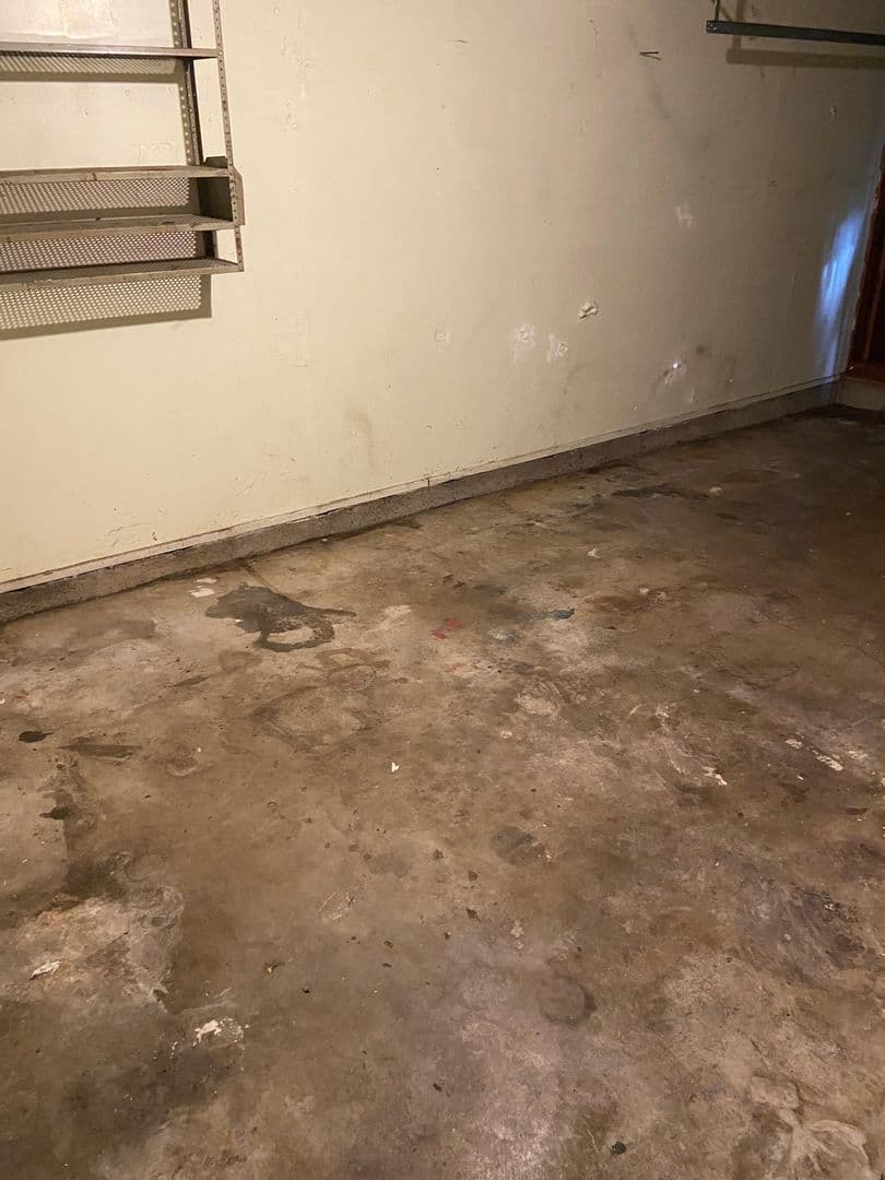 Springfield Apartment: 1238/1240 Kenray Loop
