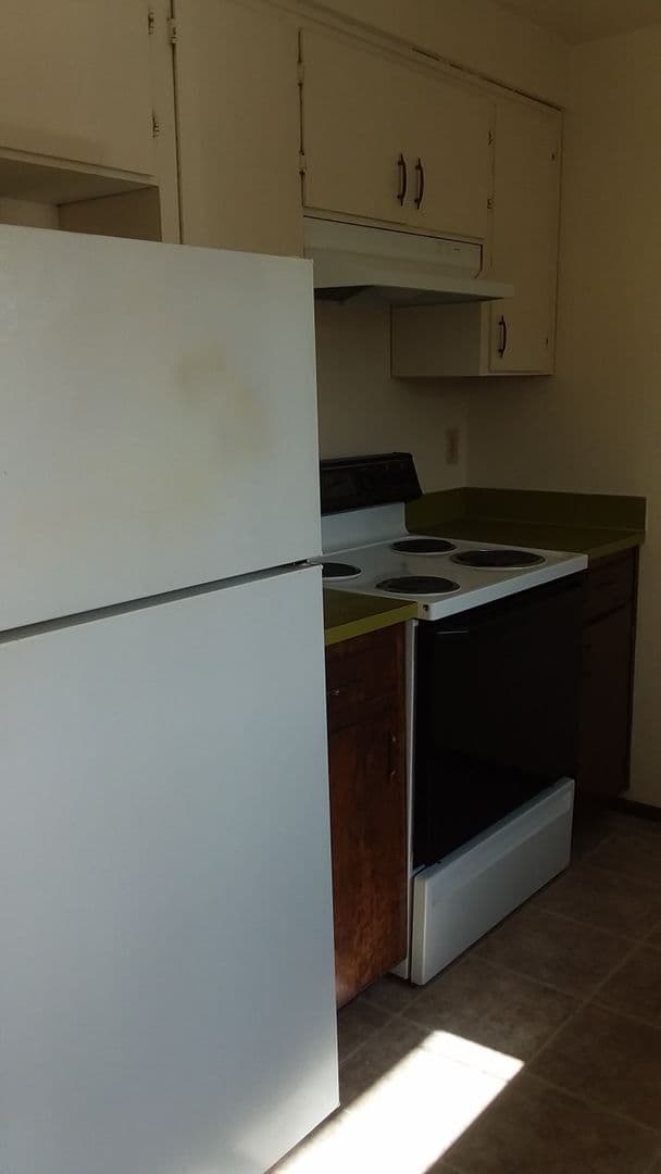 Springfield Apartment: 461 & 463 S. 49th Place