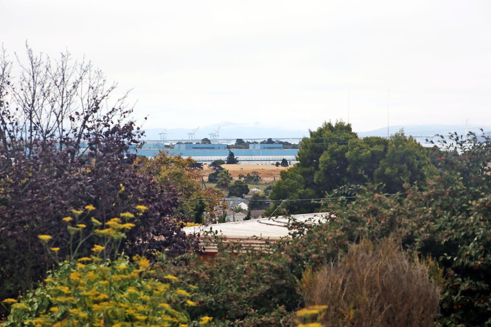 Richmond House: 5400 Highland Avenue