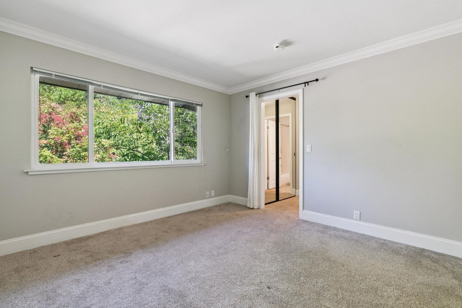 Alamo Apartment: 342 Alamo Square Drive