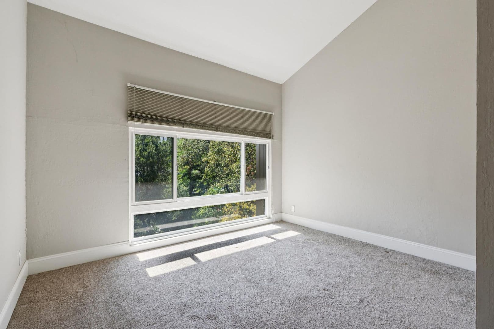 Alamo Apartment: 342 Alamo Square Drive