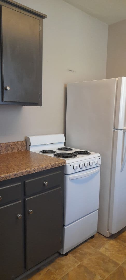 Chattanooga Apartment: 1205 W 50th Street