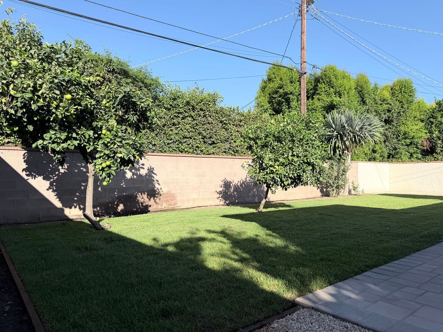 Van Nuys House: 6459 Forbes Avenue