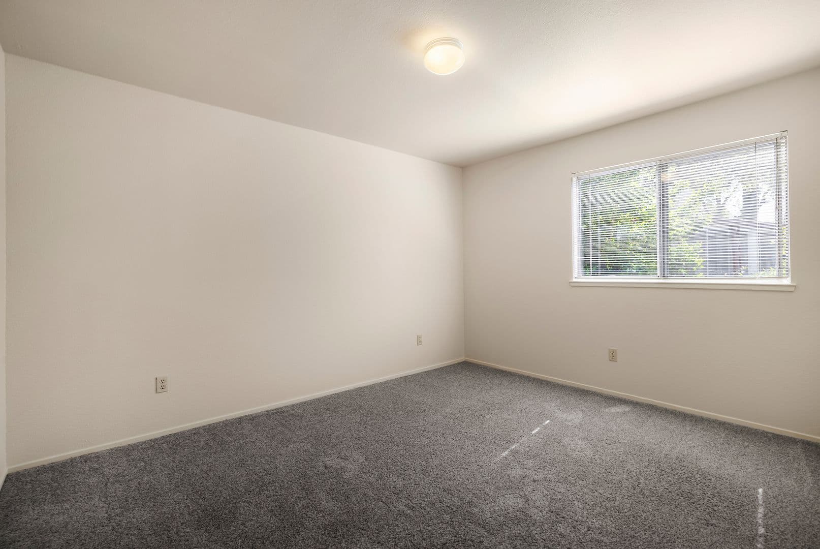 Chico Apartment: 595 E. Lassen Ave