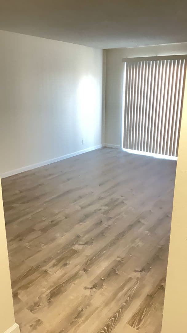Richmond Apartment: 537 Nevin Ave