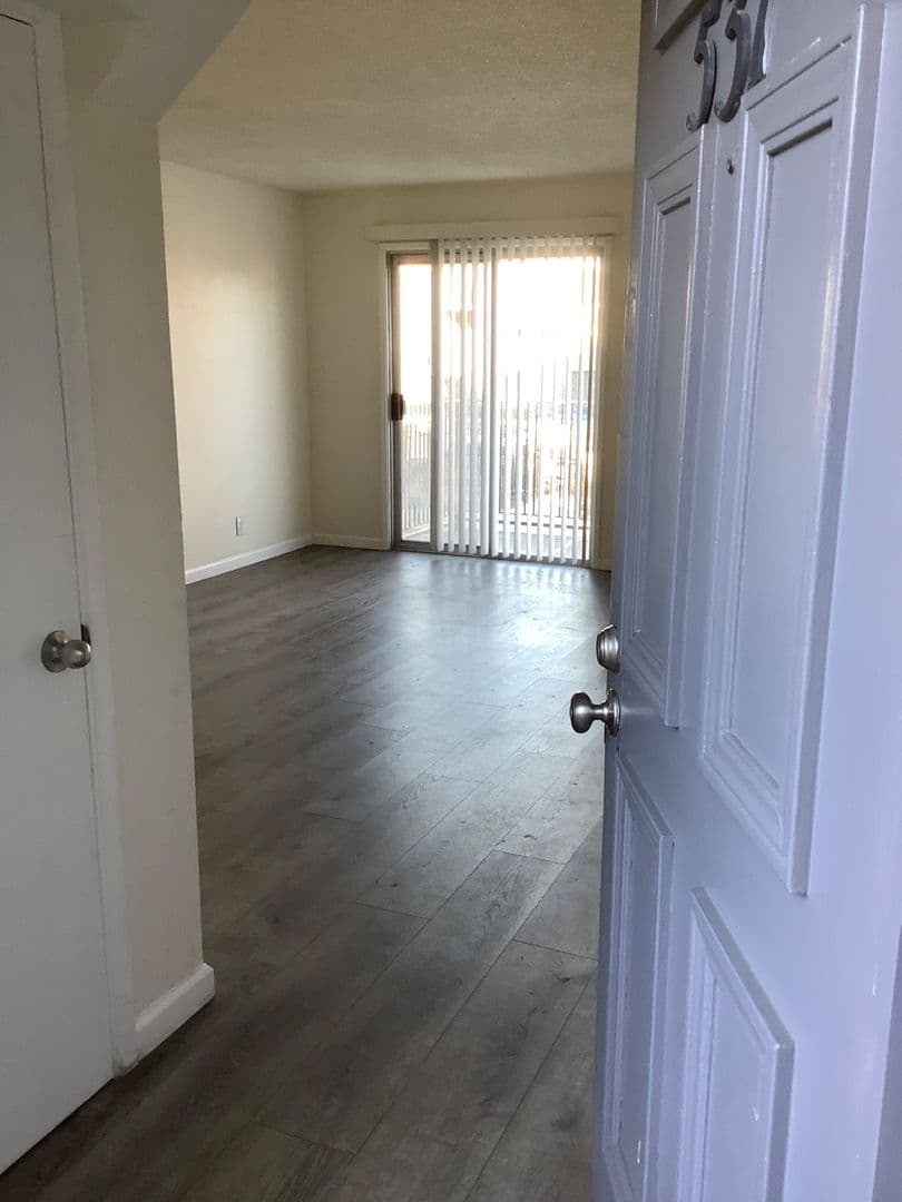 Richmond Apartment: 537 Nevin Ave
