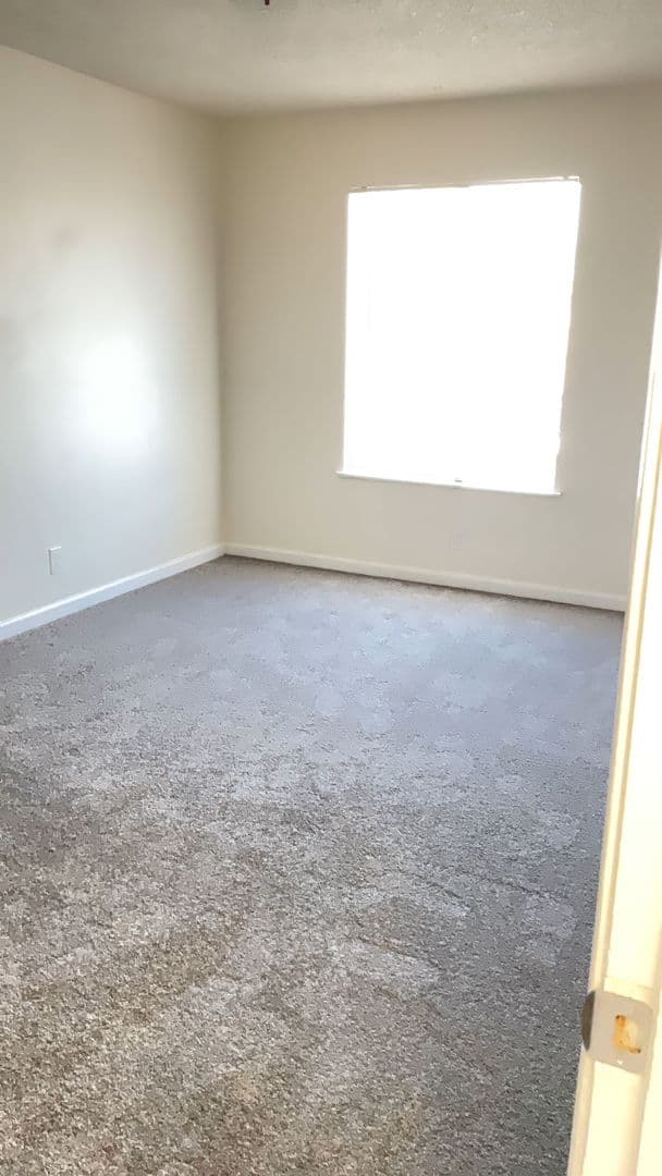 Richmond Apartment: 537 Nevin Ave